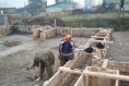 Строительство магазина из сэндвич-панелей